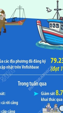 'Xử lý đủ mạnh, đủ sức răn đe và xử lý dứt điểm tình trạng khai thác IUU'