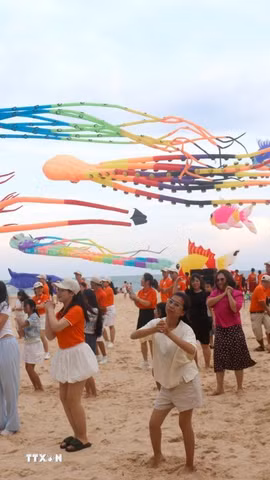 Lễ hội thả diều - Hello Sunny tại khu vực biển Mũi Né, Lâm Đồng. (Ảnh: Nguyễn Thanh/TTXVN)