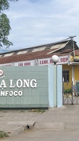 Công ty Cổ phần đồ hộp Hạ Long.