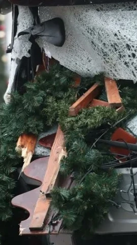 Ảnh minh họa. (Nguồn: X)