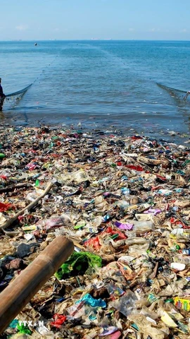 Rác thải nhựa trên bờ biển Sukaraja ở Lampung, Indonesia ngày 4/6/2025. (Ảnh: THX/TTXVN)