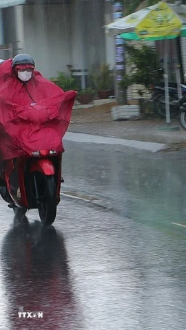 Ảnh minh họa. (Ảnh: Tuấn Phi/TTXVN)