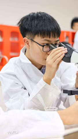 Quỹ hỗ trợ người học trong học tập, nghiên cứu, đổi mới sáng tạo, khởi nghiệp. (Ảnh minh họa: