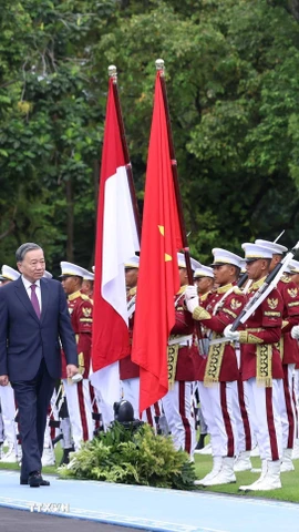 Tổng Bí thư Tô Lâm và Tổng thống Cộng hòa Indonesia, Chủ tịch Đảng Phong trào Indonesia vĩ đại (Gerindra) Prabowo Subianto duyệt đội danh dự. (Ảnh: Thống Nhất/TTXVN)