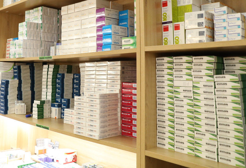 (Ảnh: PV/Vietnam+)