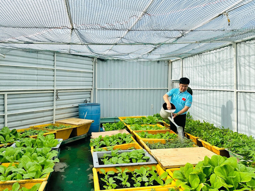 (Ảnh: PV/Vietnam+)