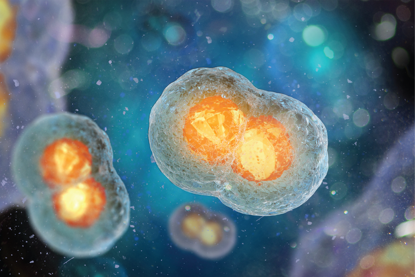 "Việt Nam có thể sản xuất sản phẩm CAR-T điều trị ung thư với giá hợp lý"