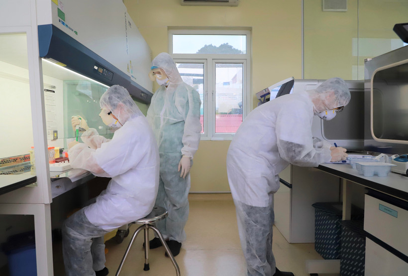 Xét nghiệm các mẫu bệnh phẩm. (Ảnh: TTXVN phát)