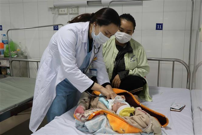 Ảnh minh họa. (Nguồn: TTXVN) 