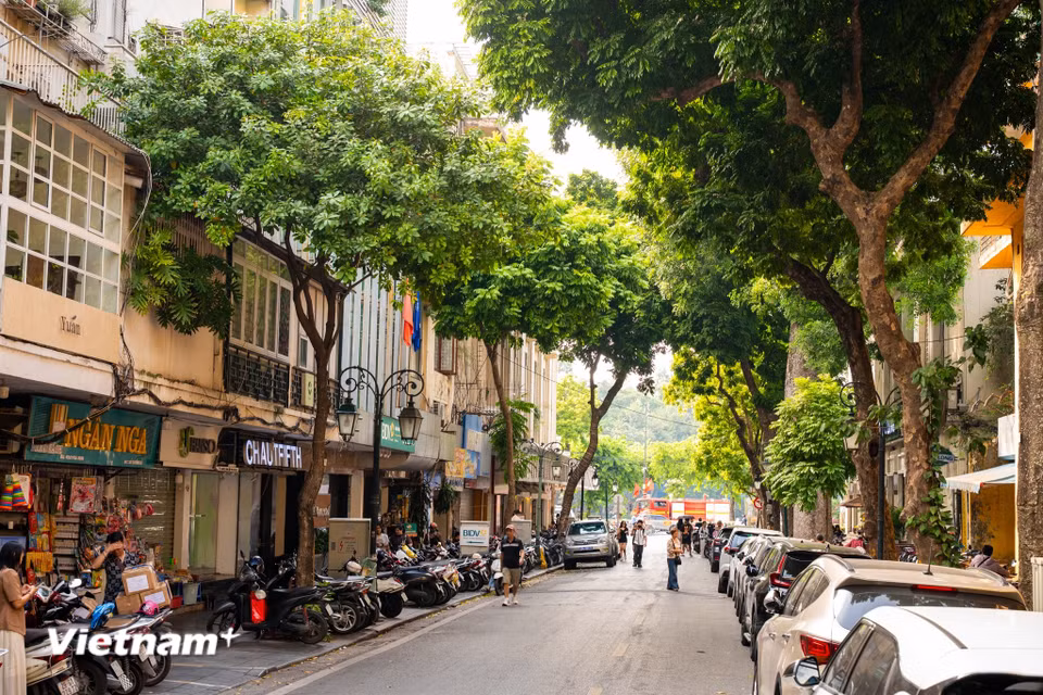 Nằm cạnh khu vực Bờ Hồ đông đúc, Đinh Lễ là một con phố nhỏ gắn liền với nhiều thế hệ người Hà Nội mê sách. Đây là nơi người ta tìm sách, dành hàng giờ lần giở từng trang giấy, hỏi han người bán về một cuốn sách hiếm, hay đơn giản là đi dạo giữa những giá sách để tìm một niềm vui bình dị. (Ảnh: Minh Sơn/Vietnam+)