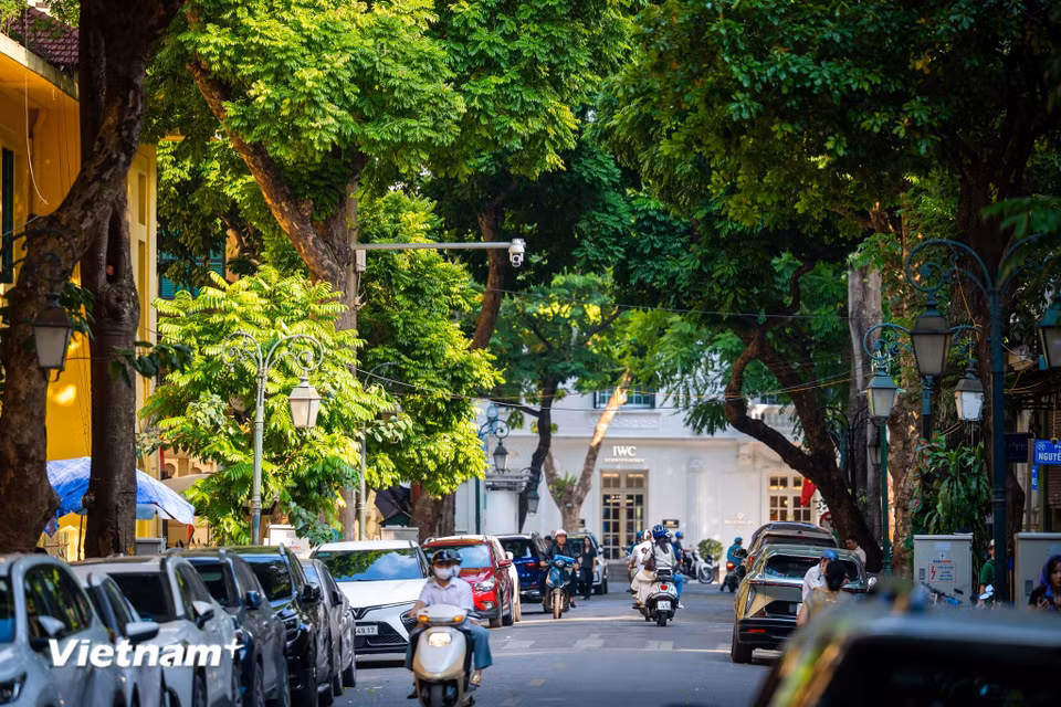 Có thời, nhắc đến mua sách ở Hà Nội, người ta nghĩ ngay đến Đinh Lễ. Con phố được xem là một trong những trung tâm sách lớn nhất Thủ đô, nơi hội tụ nhiều hiệu sách lớn nhỏ, từ sách giáo khoa, sách tham khảo đến văn học, lịch sử, nghệ thuật và những cuốn sách cũ đã qua tay nhiều người đọc. (Ảnh: Minh Sơn/Vietnam+)