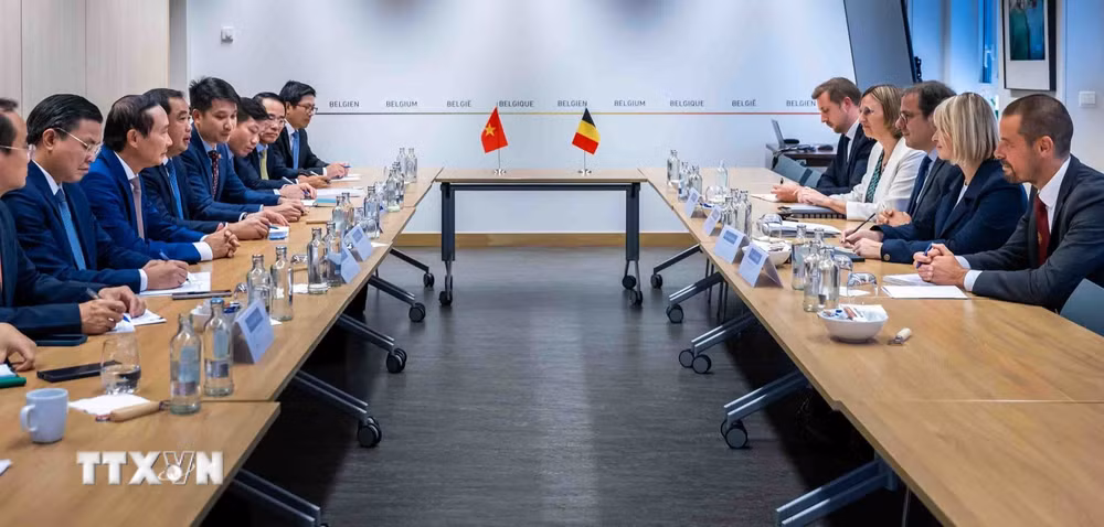 ttxvn-viet-nam-bi-eu-4.jpg