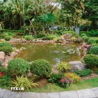 Hồ cá sinh thái tuần hoàn từ nước thải tái chế tại Nhà ga quốc tế Đà Nẵng vừa ra mắt. (Ảnh: TTXVN phát)