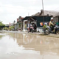 Các kỳ triều cường cao vào cuối năm 2026 được dự báo sẽ có mực nước tương đương với mức đỉnh của năm 2025, đặt ra yêu cầu cao về công tác hộ đê và chống ngập. (Ảnh: Huỳnh Anh/TTXVN)