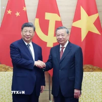 Tổng Bí thư Tô Lâm và Tổng Bí thư, Chủ tịch nước Trung Quốc Tập Cận Bình. (Ảnh: Thống Nhất/TTXVN)
