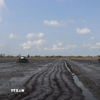 Ngành nông nghiệp vận động nông dân chỉ xuống giống khi đảm bảo nguồn nước tưới nội đồng. (Ảnh: Thu Hiền/TTXVN)