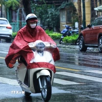 Từ chiều tối 2/3 đến ngày 3/3, khu vực Bắc Bộ và Bắc Trung Bộ có mưa, mưa rào rải rác và có nơi có dông. (Ảnh: Tuấn Anh/TTXVN)