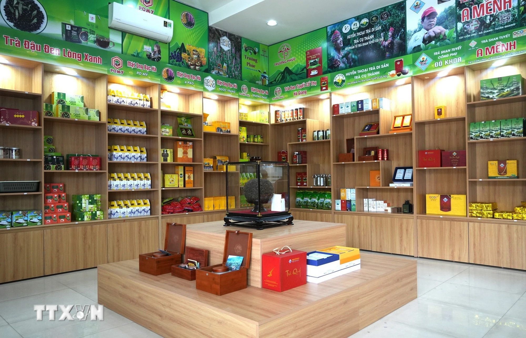 Tuyên Quang đánh thức hương trà Shan Tuyết vươn tầm OCOP 5 sao