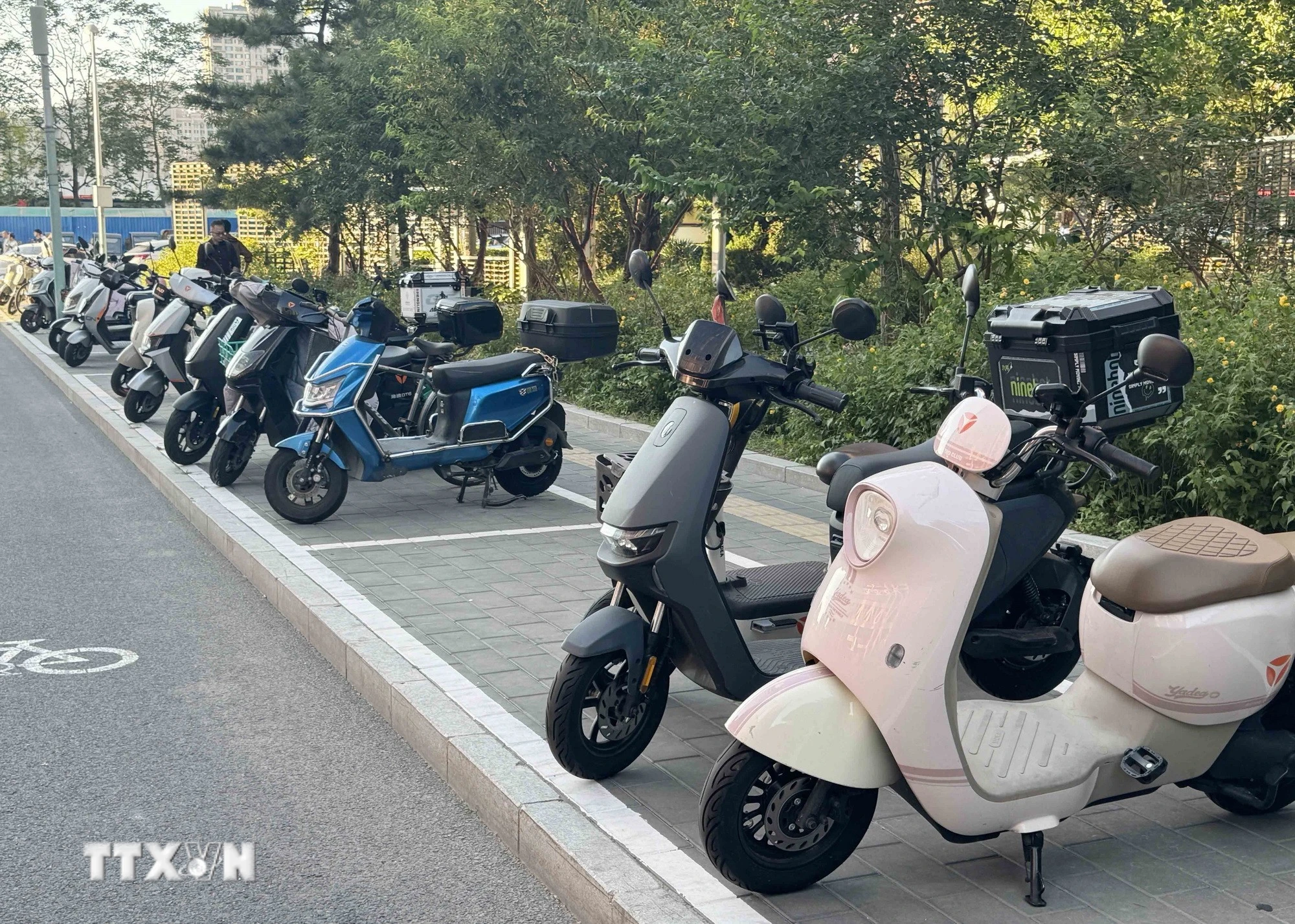 Triệt phá đường dây buôn lậu hơn 500 xe điện ba bánh từ Trung Quốc về Thanh Hóa