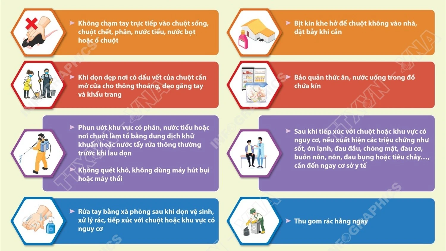 Bộ Y tế khuyến cáo phòng bệnh do virus Hanta