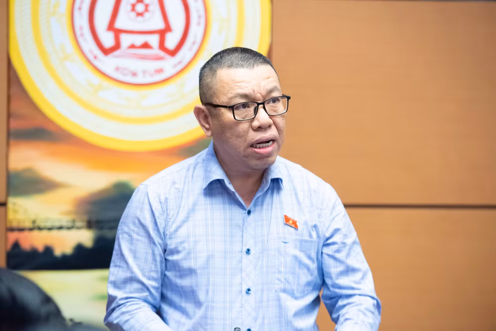 24-10-dai-bieu-tran-manh-huy-doan-dbqh-thanh-pho-da-nang-phat-bieu-ve-thue.jpg