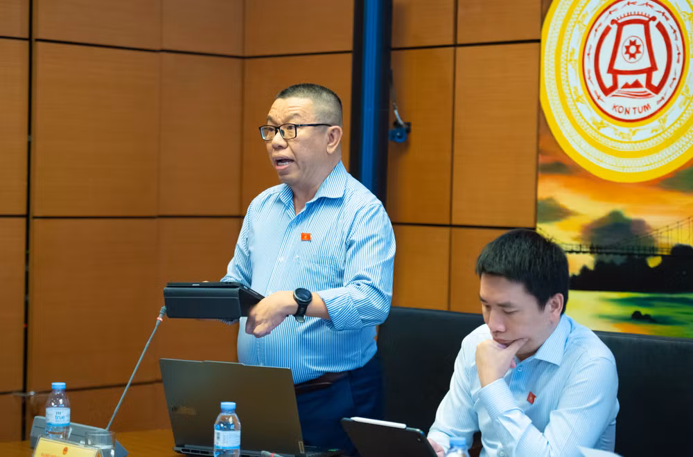19-10-dai-bieu-tran-manh-huy-doan-dbqh-thanh-pho-da-nang-phat-bieu.jpg