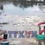 Thông tin ban đầu về sự cố tràn dầu ở Quảng Ngãi