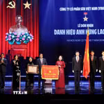 Đồng chí Võ Thị Ánh Xuân, Bí thư Trung ương Đảng, Phó Chủ tịch nước, Phó Chủ tịch Thứ nhất Hội đồng Thi đua-Khen thưởng Trung ương, trao Danh hiệu Anh hùng Lao động lần thứ 2 cho Công ty Cổ phần Sữa Việt Nam. (Ảnh: An Đăng/TTXVN)