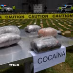 Tang vật một vụ bắt giữ cocaine. (Ảnh: AFP/ TTXVN)
