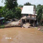 Khu vực sạt lở bờ sông Tiền tại ấp Tân Quới, xã Tân Long (tỉnh Đồng Tháp). (Ảnh: Nhựt An/TTXVN)