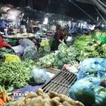 Tiểu thương chuẩn bị nguồn cung rau xanh phục vụ thị trường sau Tết Bính Ngọ, ở Chợ đầu mối Nam Hà Nội, thành phố Hà Nội. (Ảnh: Vũ Sinh/TTXVN)