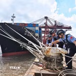 Kiểm tra dây neo của tàu thuyền trước khi bão Dolphin đổ bộ tại thành phố Ninh Ba, tỉnh Chiết Giang, miền Đông Trung Quốc. (Ảnh: THX/TTXVN phát)
