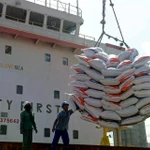 Công nhân dỡ các bao gạo nhập khẩu tại cảng Malahayati ở Aceh, Indonesia. (Nguồn: Antara)