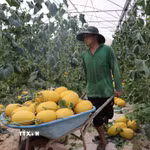 (Ảnh minh họa. Nguồn: TTXVN)