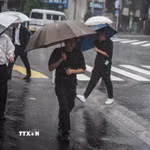 Một cơn bão gây mưa lớn tại Nhật Bản. (Ảnh: THX/TTXVN)