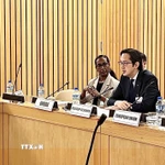 Đại sứ Đỗ Hùng Việt chủ trì Hội nghị tham vấn dành cho các nước thành viên khu vực châu Phi của Hiệp ước Không phổ biến vũ khí hạt nhân (NPT) tháng 11/2025. (Ảnh: TTXVN phát)