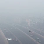 Ô nhiễm không khí nghiêm trọng tại thủ đô New Delhi, Ấn Độ ngày 14/12. (Ảnh: ANI/TTXVN)