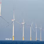Các turbin gió tại khu vực ngoài khơi ở Heligoland, Đức. (Ảnh: AFP/TTXVN)