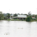 Hàng trăm hộ dân tại xã Hàm Thuận (Lâm Đồng) bị ngập sâu trong nước lũ. (Ảnh: Nguyễn Thanh/TTXVN)