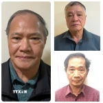 Bị cáo Hoàng Văn Thắng, nguyên Thứ trưởng Nông nghiệp và Phát triển nông thôn (trái) cùng 2 bị cáo Trần Tố Nghị và Trần Văn Lăng (áo đỏ). (Ảnh: TTXVN phát)