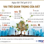 Ngày Đất Thế giới 5/12: Vai trò quan trọng của đất