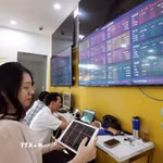 Khách hàng giao dịch chứng khoán. (Ảnh: Trần Việt/TTXVN)