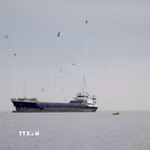 Tàu thủy di chuyển ở eo biển Hormuz, ngoài khơi tỉnh Musandam của Oman, ngày 12/4. (Ảnh: REUTERS/TTXVN)