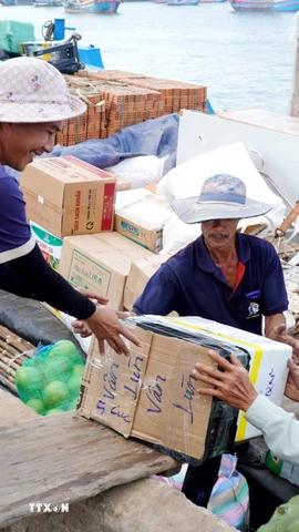 Hàng hóa, nhu yếu phẩm được tập kết lên tàu vận tải để chở ra đặc khu Lý Sơn. (Ảnh: Lê Phước Ngọc/TTXVN)