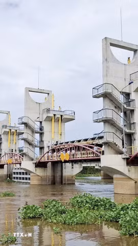 Cống Trà Sư (phường Thới Sơn, tỉnh An Giang) có vài trò điều tiết nguồn nước, kiểm soát lũ, bảo vệ sản xuất vùng Tứ giác Long Xuyên. (Ảnh: Thanh Sang/TTXVN)