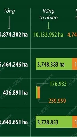 Năm 2024: Cả nước có hơn 14,87 triệu ha rừng 