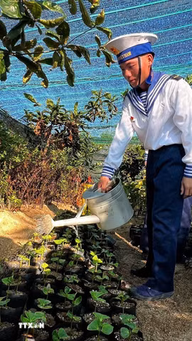 Người lính Trường Sa chắt chiu từng giọt nước ngọt để giữ màu xanh cho cây nơi đảo xa nắng gió. (Ảnh: TTXVN phát)