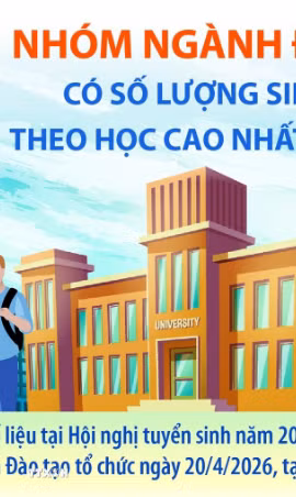 12 nhóm ngành đào tạo có số lượng sinh viên theo học cao nhất năm 2025 