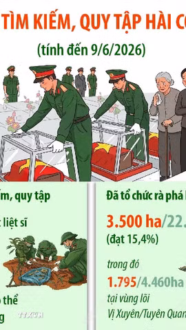 Công tác tìm kiếm, quy tập hài cốt liệt sỹ tính đến 9/6/2026 
