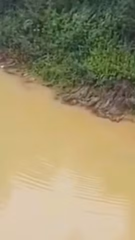 Hai nam sinh đưa nữ sinh vào bờ an toàn. (Ảnh: Người dân cung cấp)